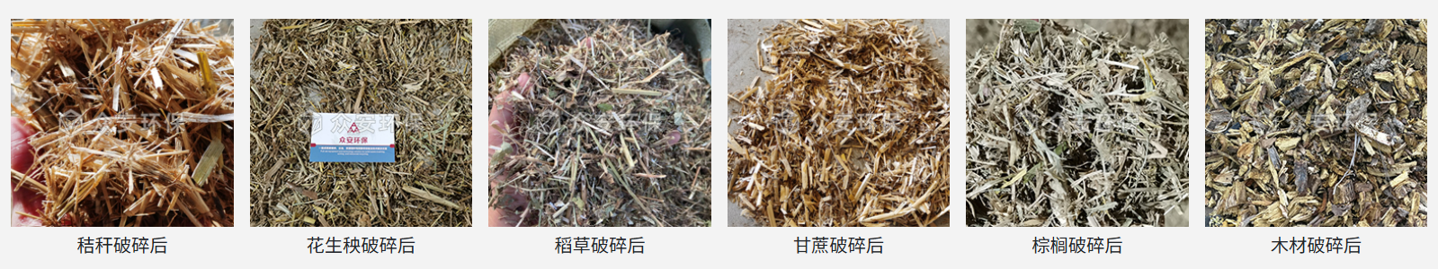 生物質耦合預處理系統產出物.png